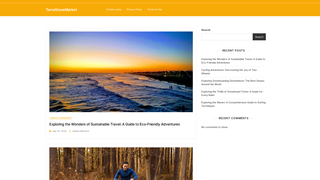 Thumbnail of terrastonemarket.com