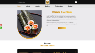 Thumbnail of umamiriceballs.com