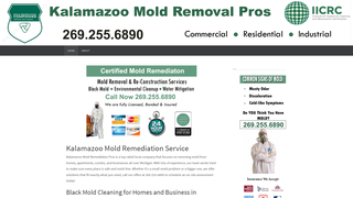 Thumbnail of kalamazoomoldremediation.com