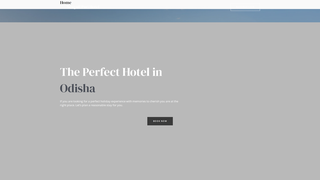 Thumbnail of seagullhotelpuri.net