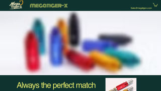 Thumbnail of megatiger-x.com