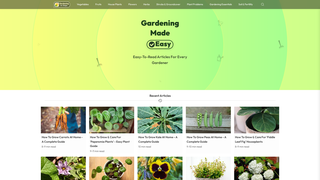 Thumbnail of gardeninginsteps.com