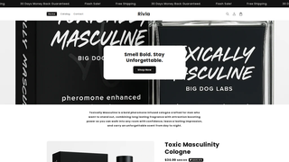 Thumbnail of rrivla.com