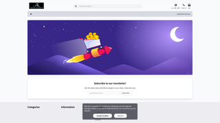 Thumbnail of twin-sports.com