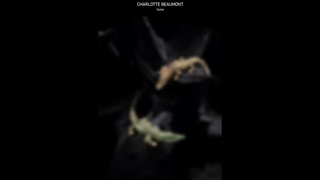 Thumbnail of charlottebeaumont.com