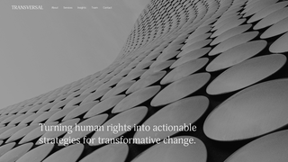 Thumbnail of transversalconsulting.org