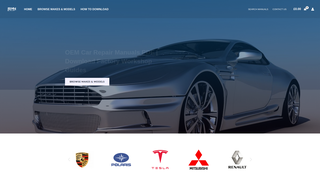 Thumbnail of repairmanualhub.com