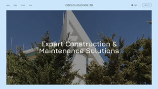 Thumbnail of giboldiholdings.com