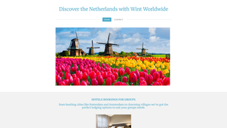 Thumbnail of wintworldwide.com