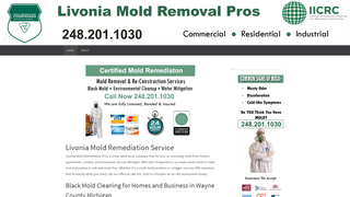 Thumbnail of livoniamoldremediation.com