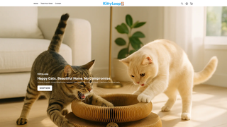 Thumbnail of trykittyloop.com