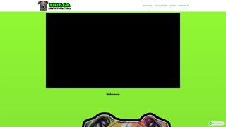Thumbnail of triggaadventuresbali.com