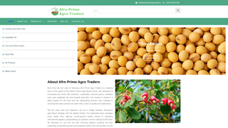 Thumbnail of afroprimeagrotraders.com
