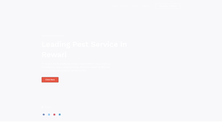 Thumbnail of shreeshyampestcontrol.com