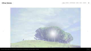 Thumbnail of evavenzo.com