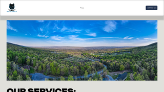 Thumbnail of bullyaerials.com