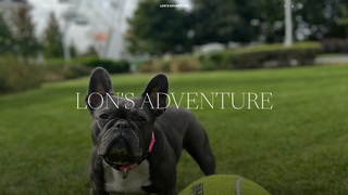 Thumbnail of lonsadventure.com