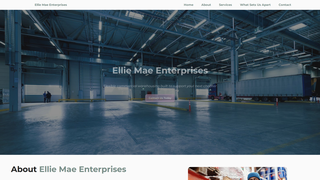 Thumbnail of elliemaeenterprises.com