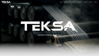 Thumbnail of teksabristle.com