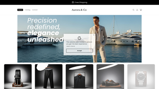 Thumbnail of aurooraandco.com