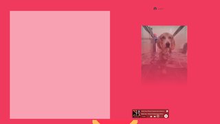 Thumbnail of riabilvet.com