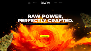 Thumbnail of biorashops.com