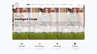 Thumbnail of intelligentcorgis.com