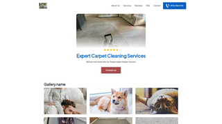 Thumbnail of alfaprocarpetcleaning.com