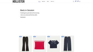 Thumbnail of hoflintero.com