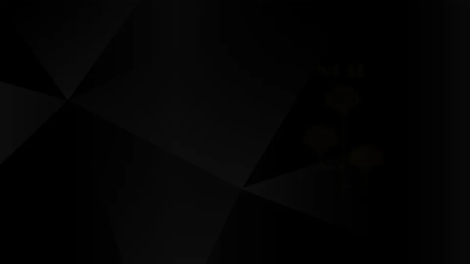 Screenshot of noirtea.com