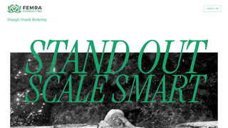 Thumbnail of femraconsulting.com