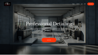 Thumbnail of elzydetailing.com
