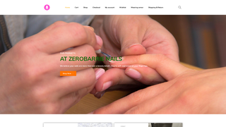 Thumbnail of zerobarrie.com