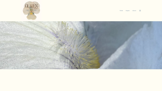 Thumbnail of olwenfloral.com