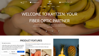 Thumbnail of kaytzen.com