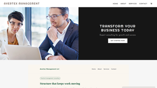 Thumbnail of avertexmanagement.com