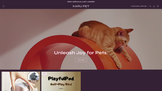 Thumbnail of karupet.com