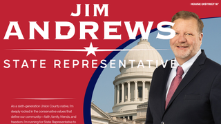 Thumbnail of andrewsforarkansas.org