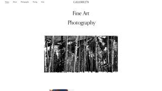 Thumbnail of gallerie278.com