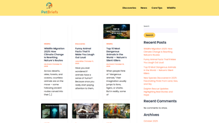 Thumbnail of petbriefs.com