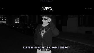 Thumbnail of aspectny.com