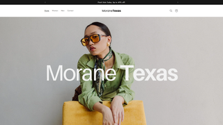Thumbnail of morane-texas.com