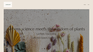 Thumbnail of labandleaf.com