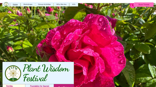Site preview