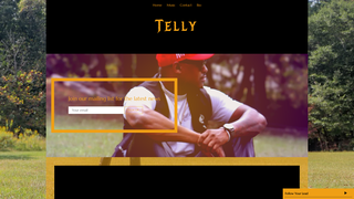Thumbnail of itstellymusic.com