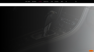 Screenshot of backseatstore.com