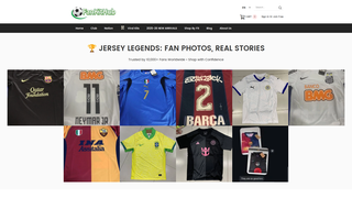 Thumbnail of fankithub.com