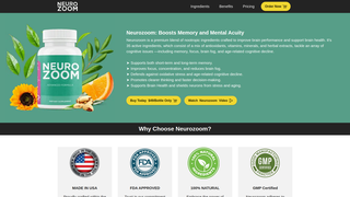 Thumbnail of neurozoomus.com