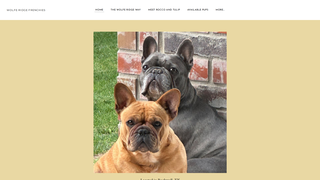 Thumbnail of wolferidgefrenchies.com
