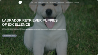 Thumbnail of labradorpuppiesforrehoming.com